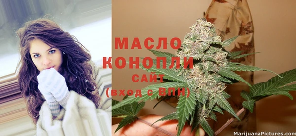 молекула духа Бородино