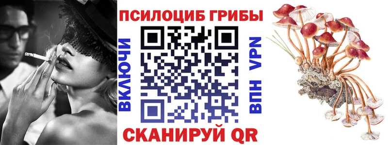 Галлюциногенные грибы MAGIC MUSHROOMS ссылка на мегу как зайти даркнет какой сайт Белая Холуница